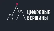 Цифровые Вершины